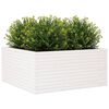 Produktminiatyrbild 4 av 10