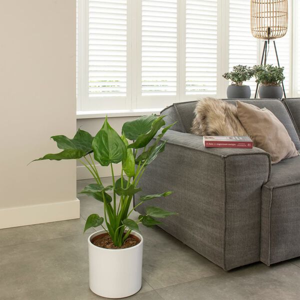 vidaXL Tempelsk&ouml;ld &Oslash;21 h&ouml;jd 65-75 cm