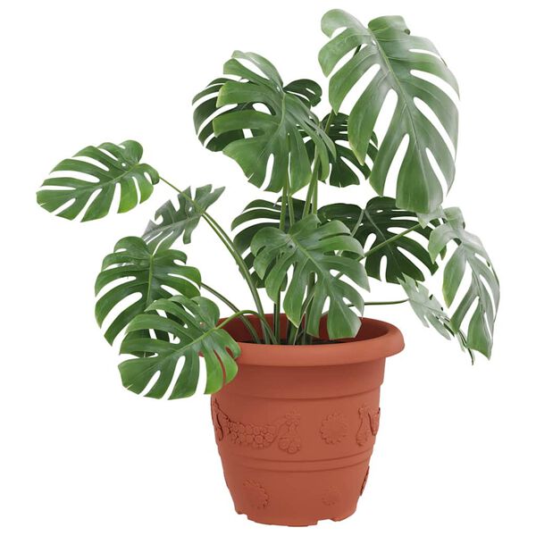 vidaXL Rund Blomkruka 6 pcs Murgr&ouml;n &Oslash; 26 x 21.5 cm Plast