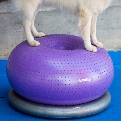 FitPAWS Balansboll för husdjur TRAX Donut 55 cm lila