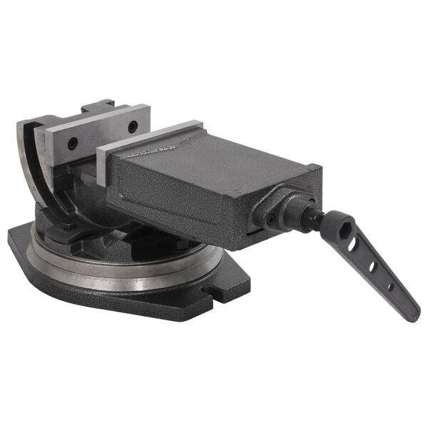 vidaXL Vinklingsbart skruvstycke 2 axlar 160 mm