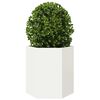 Produktminiatyrbild 5 av 13