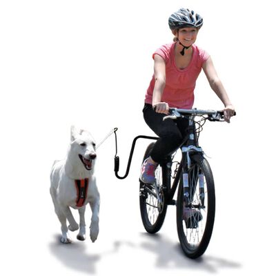 SPRINGER Cykelfäste för hund