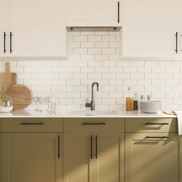 vidaXL Sk&aring;phandtag 20 st svart 160 mm rostfritt st&aring;l