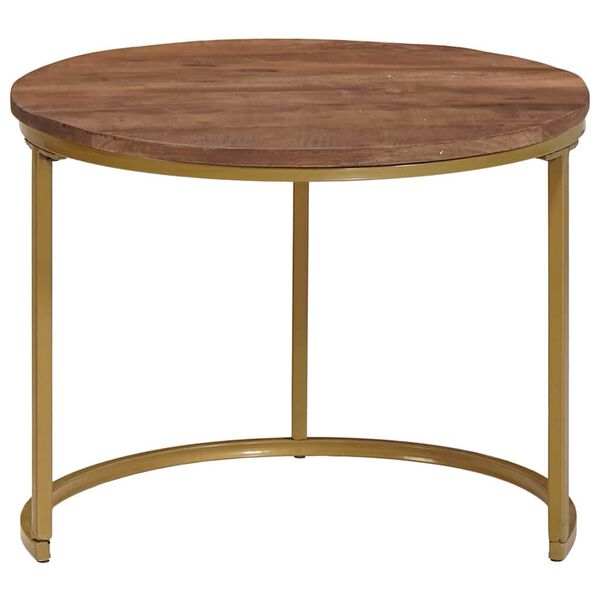 vidaXL Nesting Kaffe Bord 2 pcs Mörkbrun Massivt Mangoträ och stål