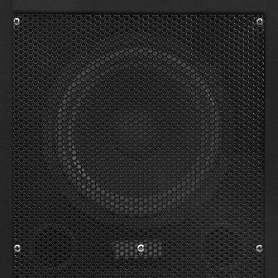 vidaXL Passiva PA-högtalare 2 st 1000 W svart