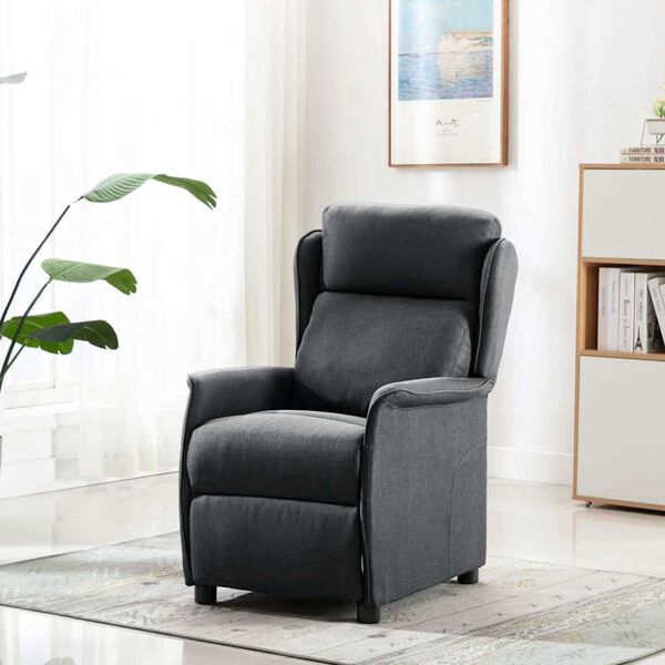vidaXL Reclinerf&aring;t&ouml;lj M&ouml;rkgr&aring; 66.5 x 94 x 101.5 cm Polyester