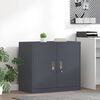 Produktminiatyrbild 2 av 13