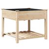 vidaXL Tr&auml;dg&aring;rdsplanterare Beige 90 x 90 x 76,5 cm Massivt Furu