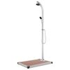 vidaXL Tr&auml;dg&aring;rdsdusch med brunt golv 220 cm aluminium