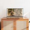 vidaXL Terrarium med lagring Transparent 50 x 30 x 30 cm Glas