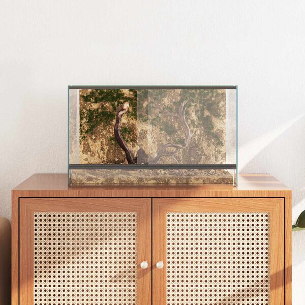 vidaXL Terrarium med lagring Transparent 50 x 30 x 30 cm Glas