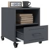 Produktminiatyrbild 4 av 13