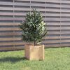 vidaXL Odlingslådor 2 st 31x31x31 cm massiv furu