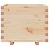vidaXL Odlingsl&aring;da 60x60x49,5 cm massivt furutr&auml;