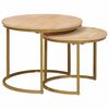 vidaXL Nesting Kaffe Bord 2 st Brun 50 x 50 x 40 cm