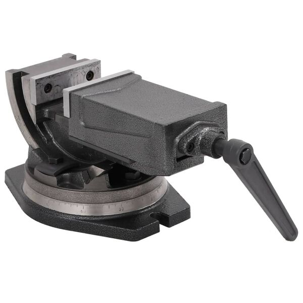 vidaXL Vinklingsbart skruvstycke 2 axlar 100 mm