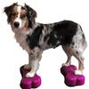 FitPAWS Balansplatta f&ouml;r husdjur Mini K9FITbone 2-pack 29x16,5x6 cm