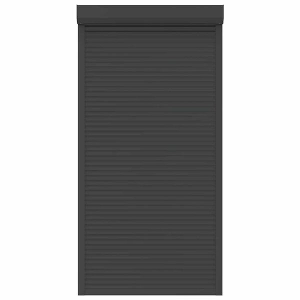 vidaXL Rulljalusi aluminium 110x220 cm antracit