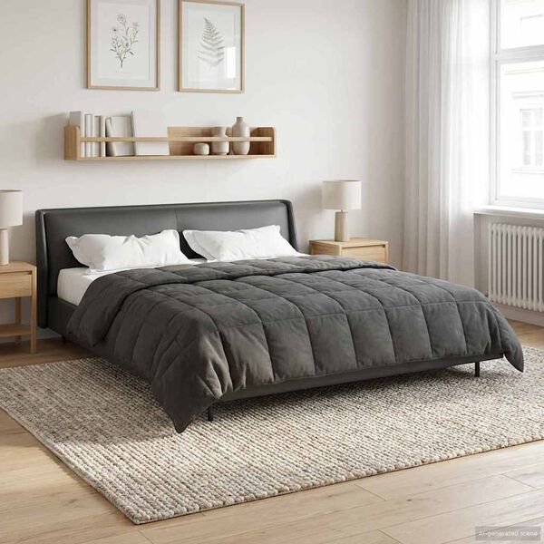 vidaXL Full &Aring;rs-Duvet Quiltad Antracit 220 x 260 cm