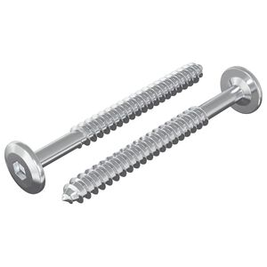 vidaXL Tr&auml;skruvar 2 st Silver M6 x 70 mm St&aring;l