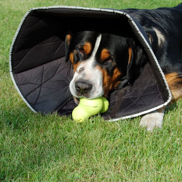 All Four Paws Hundkrage Comfy Cone XL 30 cm svart