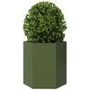 Produktminiatyrbild 5 av 13