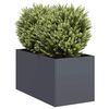 Produktminiatyrbild 2 av 9