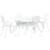 vidaXL Tr&auml;dg&aring;rdsm&ouml;belset 5 pcs Vit Aluminium