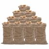 vidaXL Jutes&auml;ckar 10 st 65x135 cm 100% jute 220 gsm