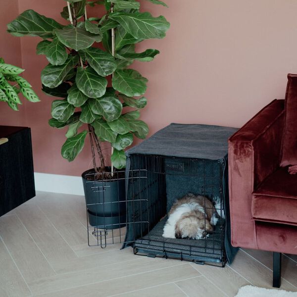 DISTRICT70 Bur&ouml;verdrag hund m&ouml;rkgr&aring; L