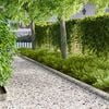 Produktminiatyrbild 2 av 10