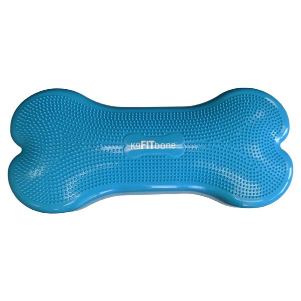 FitPAWS Balansplatta för husdjur Giant K9FITbone PVC aqua