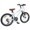 vidaXL Kids Mountain Bike 20 Tum 6-Speed f&ouml;r 5-8 &aring;r gammal Vit