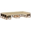 vidaXL Utomhussoffset med kudde 11 pcs Naturlig och Beige