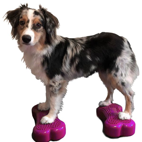 FitPAWS Balansplatta för husdjur Mini K9FITbone 2-pack 29x16,5x6 cm