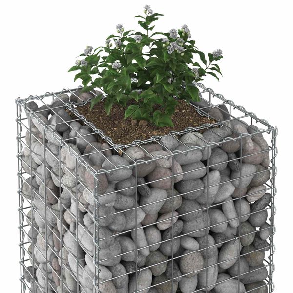 vidaXL Gabion upph&ouml;jd s&auml;ng Silver 50 x 50 x 150 cm Galvaniserat St&aring;l