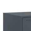 Produktminiatyrbild 11 av 13