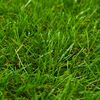 Produktminiatyrbild 3 av 3