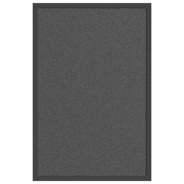 vidaXL D&ouml;rrmatta antracit 40x60 cm
