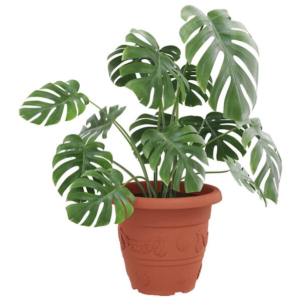 vidaXL Rund Blomkruka 6 pcs Murgr&ouml;n &Oslash; 26 x 21.5 cm Plast