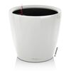 LECHUZA Blomkruka CLASSICO LS 21 ALL-IN-ONE vit h&ouml;gglans