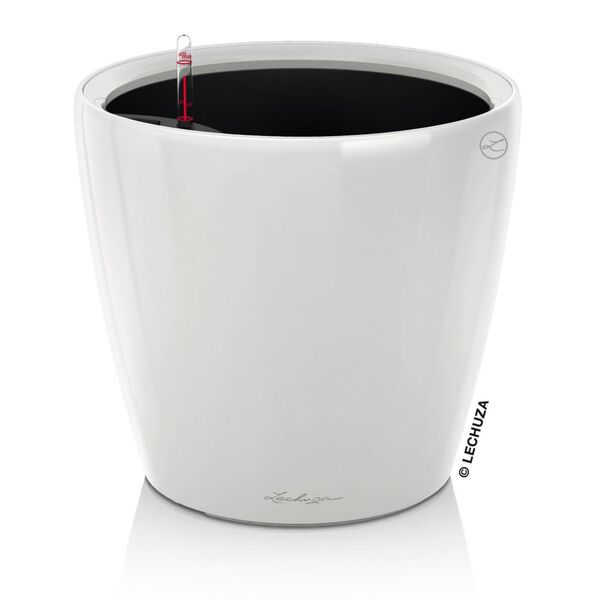 LECHUZA Blomkruka CLASSICO LS 21 ALL-IN-ONE vit h&ouml;gglans