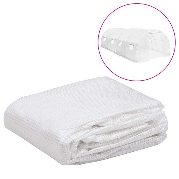 vidaXL V&auml;xthus&ouml;verdrag (18 m&sup2;) 3x6x2 m genomskinlig