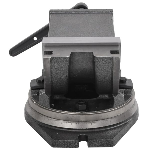 vidaXL Vinklingsbart skruvstycke 2 axlar 160 mm