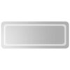 vidaXL Badrumsspegel LED 40x100 cm