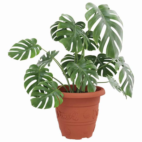 vidaXL Rund Blomkruka 24 pcs Murgr&ouml;n &Oslash; 26 x 21.5 cm Plast