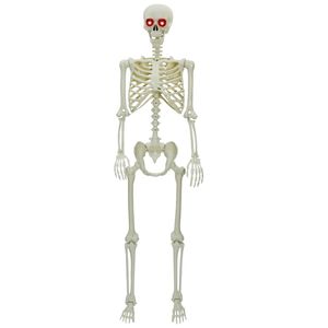vidaXL Halloween Skelett Vit 155 x 38.5 cm Plast