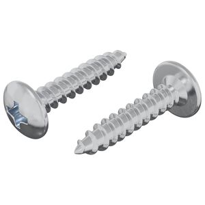vidaXL Sj&auml;lvg&auml;ngande spik 2 st Zinkbelagd 4 x 20 mm St&aring;l