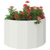 Produktminiatyrbild 3 av 12